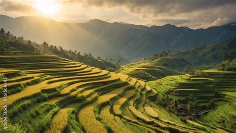  The Ifugao Rice Terraces: A Testament to Nature's Bounty and Human Ingenuity!